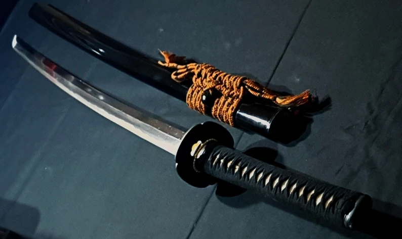 Shokoken Super Katana Shokoken Super Katana Extreme Cutting Sword 3 1