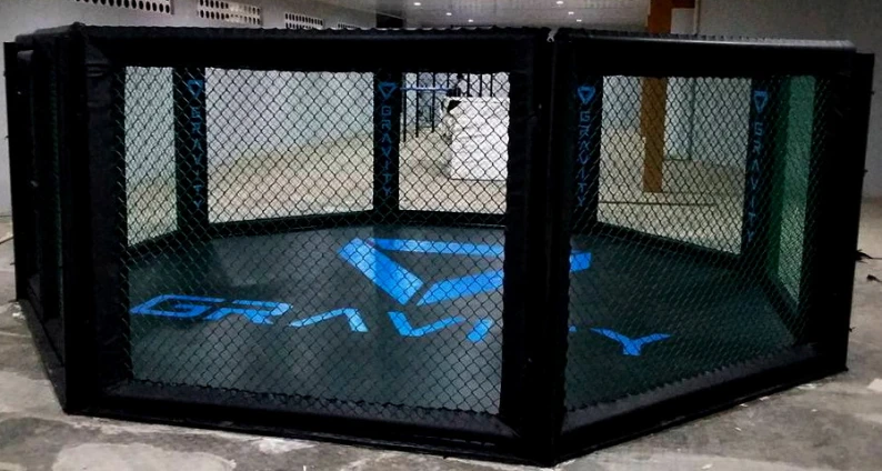 Ring Octagon MMA  Ring Octagon MMA  2 1