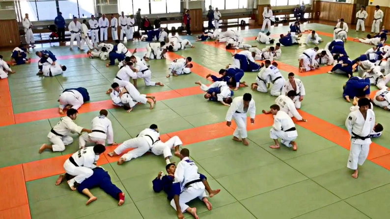 Matras Judo Matras Judo - Tatami Judo - Superior Mats 5 5