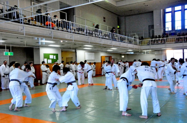 Matras Judo Matras Judo - Tatami Judo - Superior Mats 7 _thumb_520xauto_6529