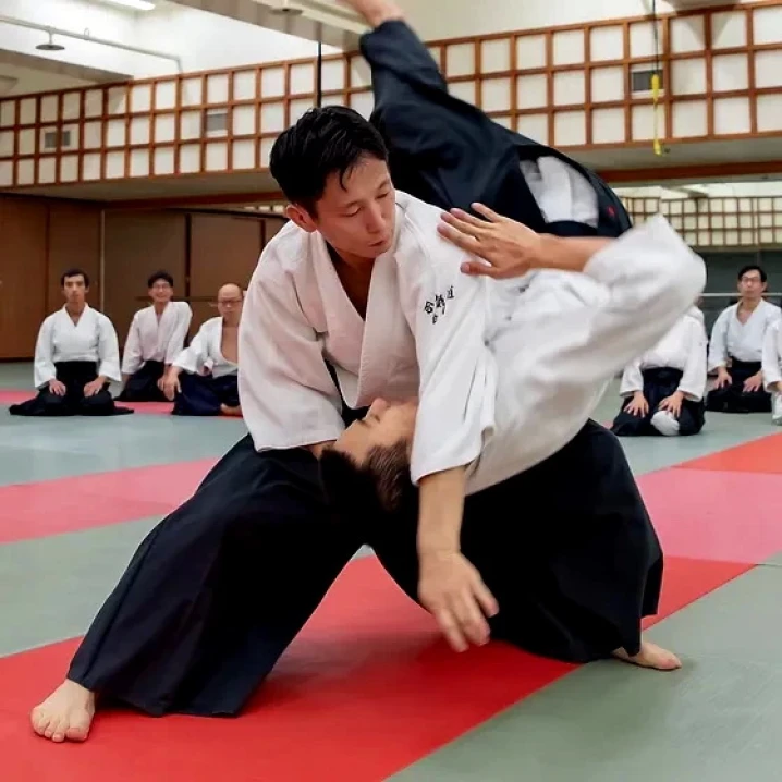 Matras Aikido Matras Aikido Superior 100x200x5cm 3 aikido1