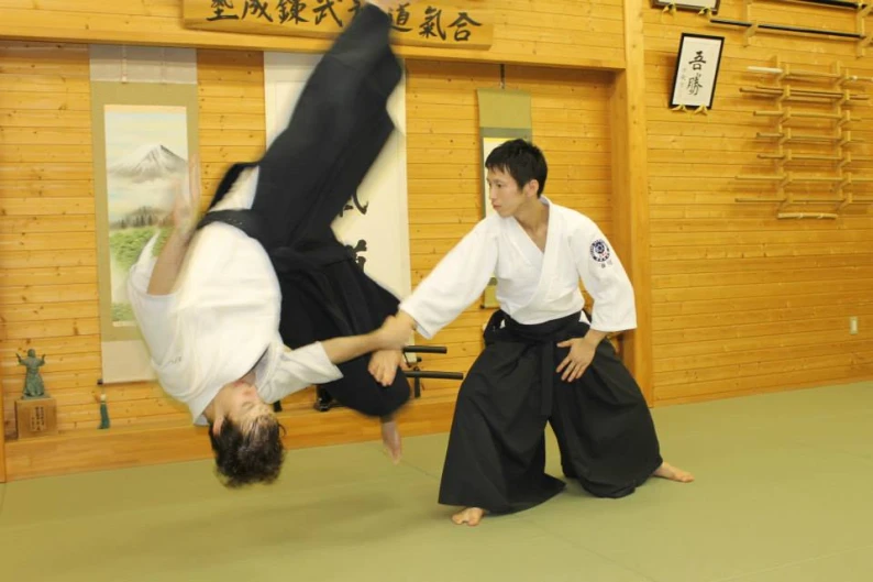 Matras Aikido Matras Aikido Superior 100x200x5cm 4 aikido2