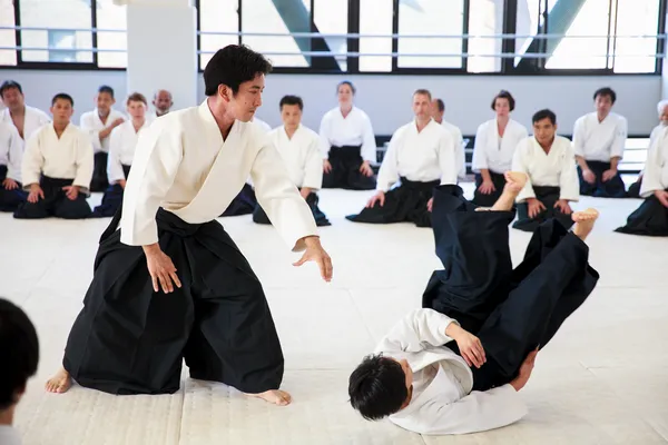 Matras Aikido Superior 100x200x5cm