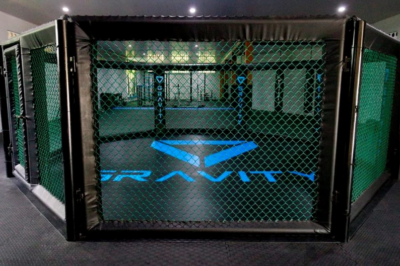 Ring Octagon MMA  Ring Octagon MMA  1 cage
