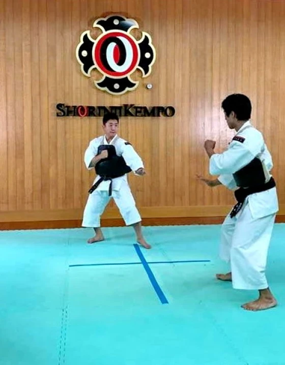 Matras Kempo Matras Kempo - Puzzle Mats 4 kemp3