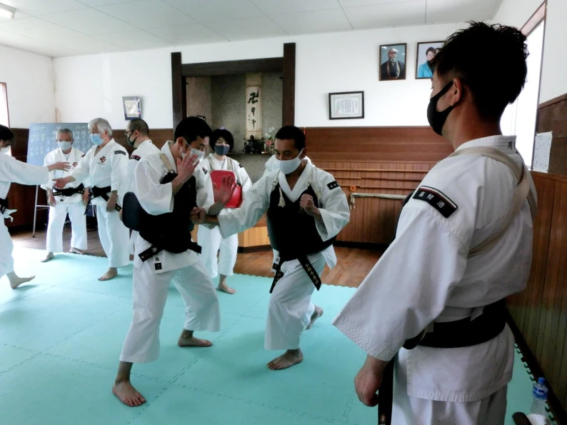 Matras Kempo Matras Kempo - Puzzle Mats 3 kempo1